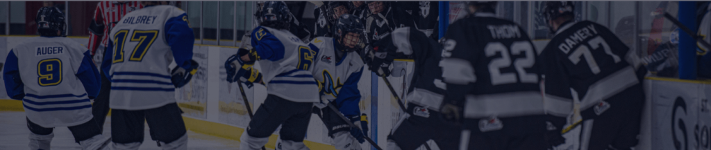 u16 spring hockey team