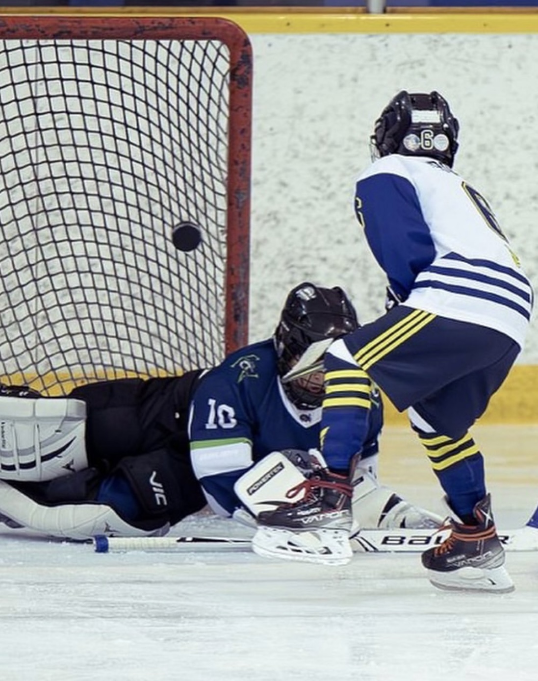 Erin Provost - Whales Hockey Team Game